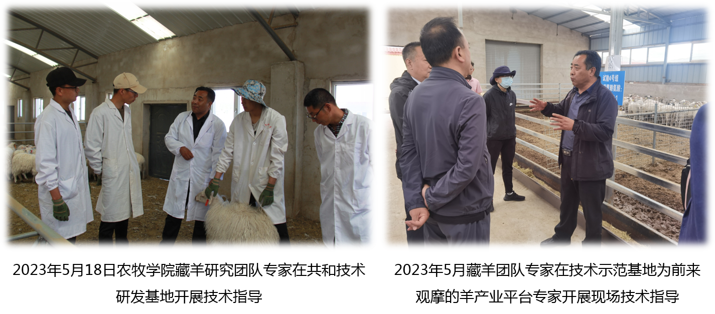 a91ac0018e1646b594f28b47c309dd3d.png a91ac0018e1646b594f28b47c309dd3d.png