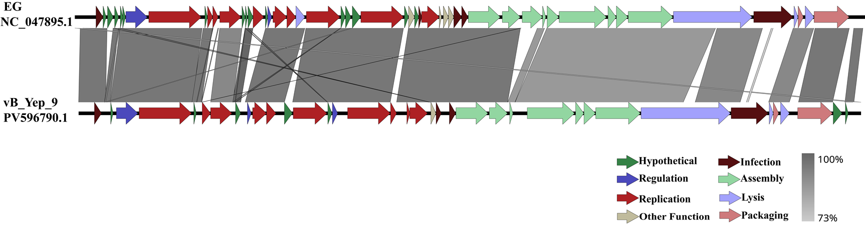 66dee5aa8a3e49f2abcc85585bff71b1.png 66dee5aa8a3e49f2abcc85585bff71b1.png